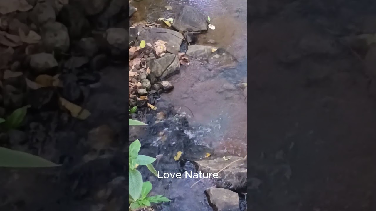 Healing Waters