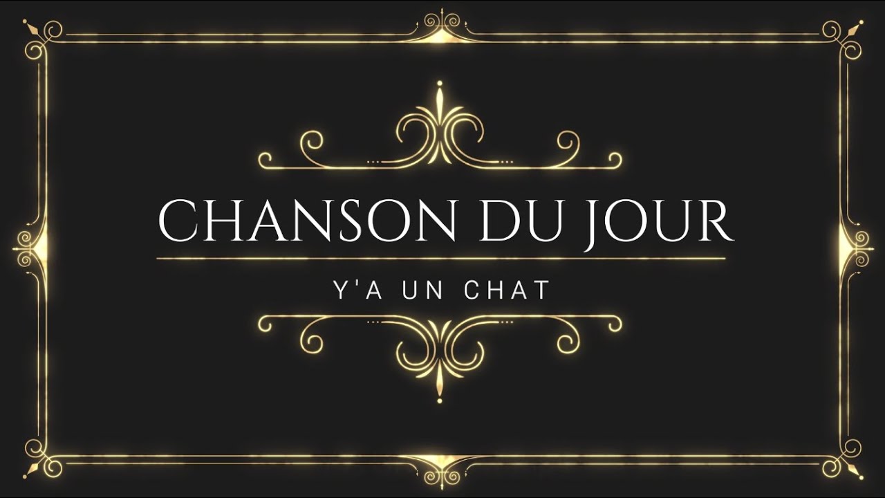 Y A Un Chat Youtube Y A Un Chat Youtube