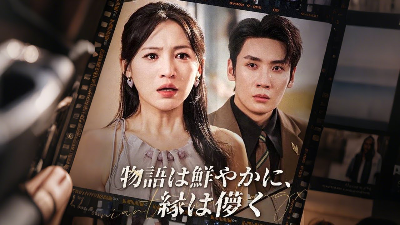 守り続けた結婚が偽物だった夜　彼女は静かに消えた