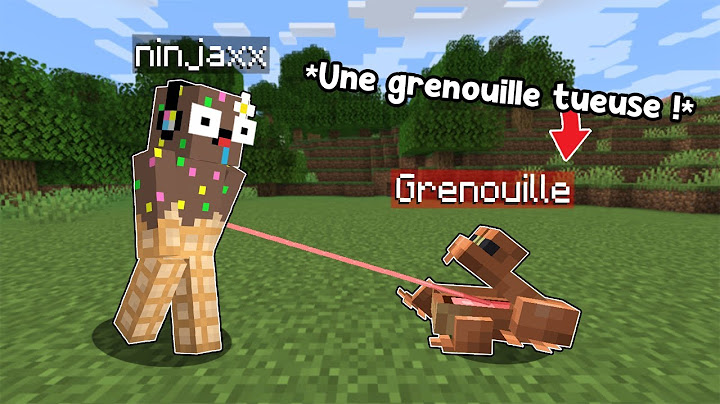 J'ai testé des Mods wtf de la version 1.19 sur Minecraft..