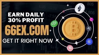 66EX 2023 latest money-making project|| measured record||legal and stable||has MSB license screenshot 5