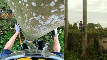 cách trèo cây - bộ dụng cụ trèo cây cưa cây hái lan bắt ong | 0335636421