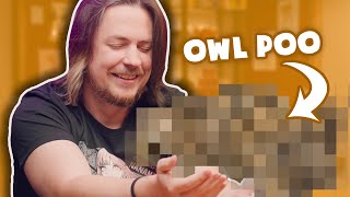 You won't BELIEVE what's in Owl Poo...