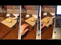 Cat Steals Food From Table
