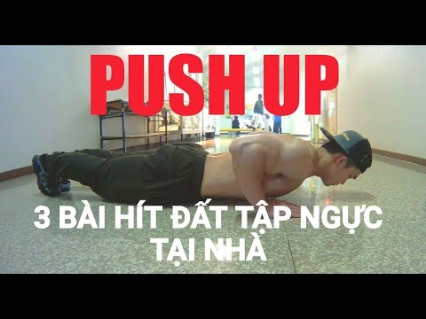 Video Push up - 3 bài tập hít đất tập ngực tại nhà - youtube