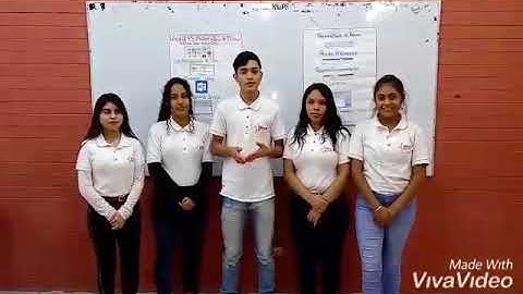 Unidad 4 Software y Base de datos| Introducción a la computación.