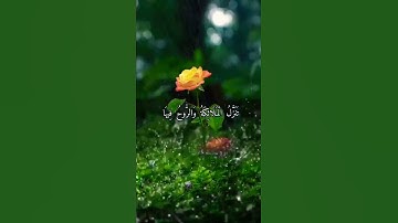 قرآن كريم القارئ ماهر المعيقلي سورة (القدر)