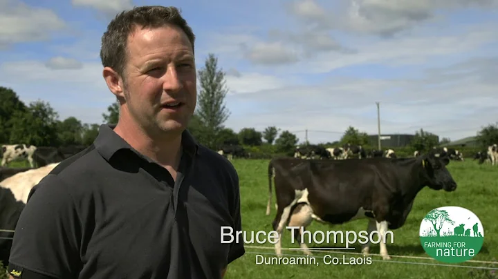 Case Study: Dung Beetles with Bruce Thompson