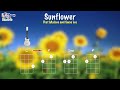 Sunflower  ukulele play along c f dm