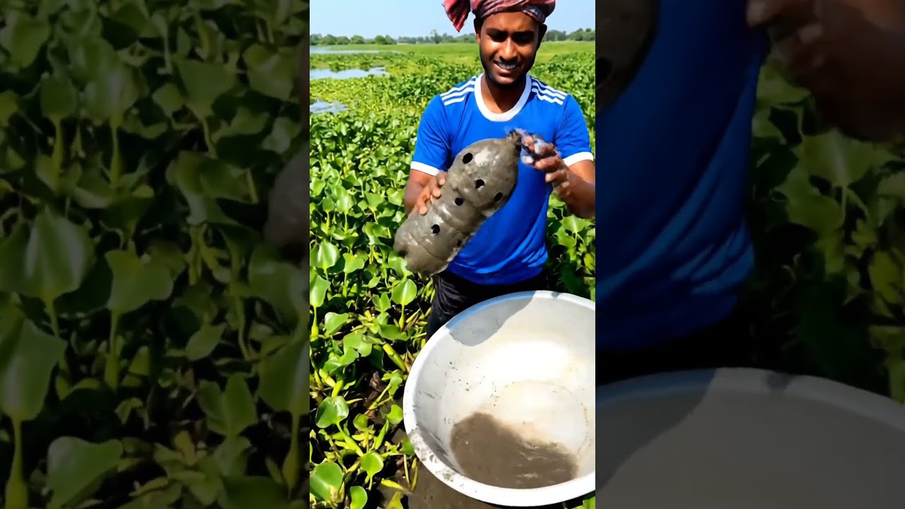 Traditional Bottle Trap Fishing in Village Wetland | Amazing Small Fish Catch 😮🙀