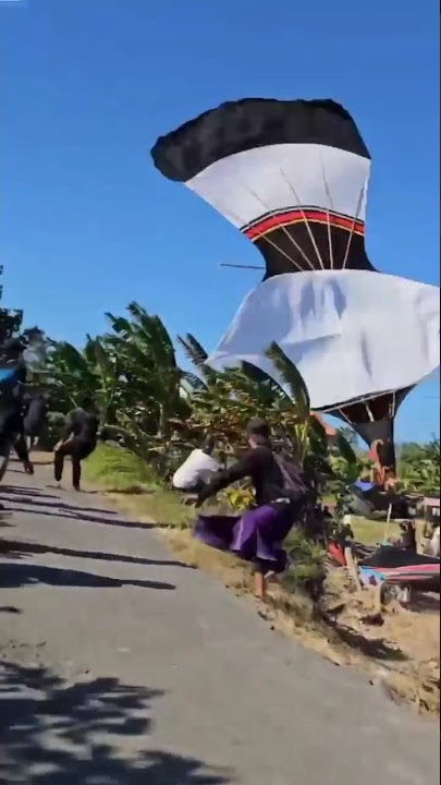 Spektakuler! Layangan Janggan Jatuh & Terjun Bebas: Aksi Tak Terduga #layangan #layanganjatuh