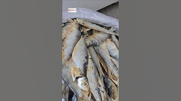 cá trích khô truyền thống ăn cơm mùa mưa quá ngon