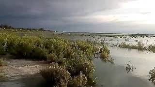 laguna de Zumpango