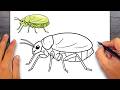 How to draw Aphid - Easy Drawing for Kids & Beginners
