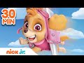 Best of Skye 🐶 PAW Patrol! | 30 Minute Compilation | Nick Jr.