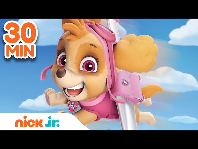 of Skye PAW Patrol! | 30 Minute Compilation Nick Jr. - YouTube