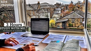 3 HOUR STUDY WITH ME  | Background noise, Bird Chirping,10-min break, No Music, Study with Merve