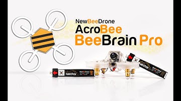 BeeBrainPro Firmware Flash in 30 seconds