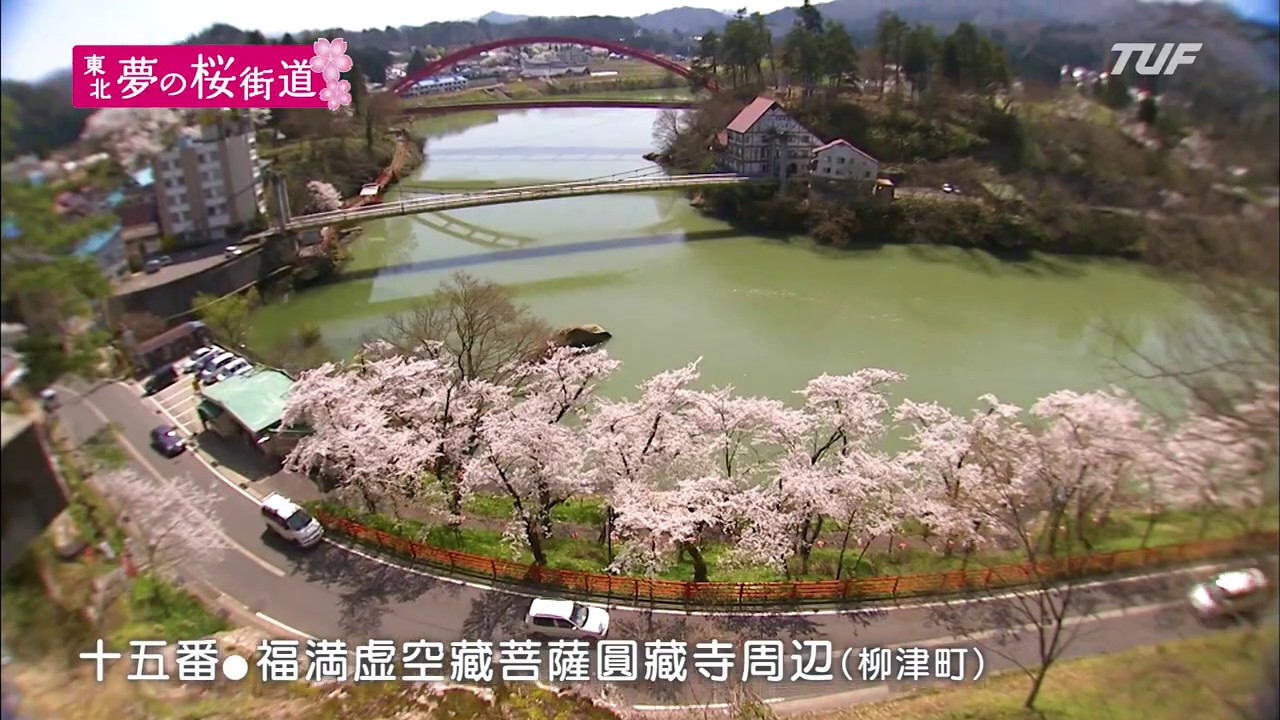 東北・夢の桜街道 復興への祈りを捧げる 桜の札所・八十八ヵ所巡り
