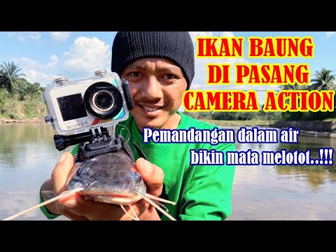 EXPERIMENT# Ikan Baung dengan Action Camera | Action Cam on a fish