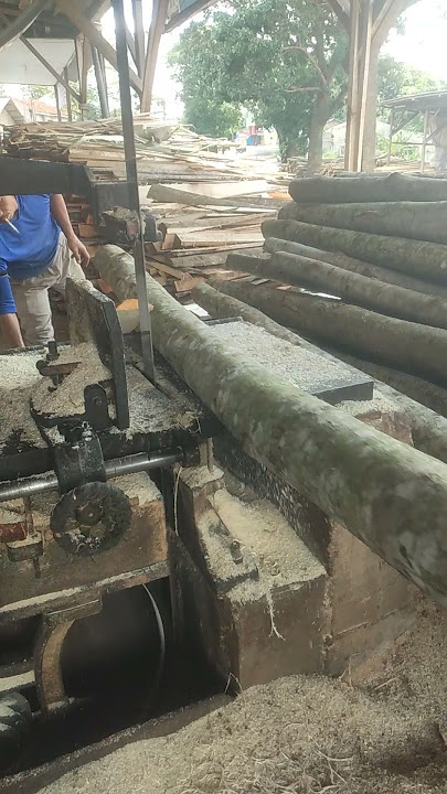 TAJAMNYA GERGAJI BELAH KAYU PART 1994 HH#SHORTS