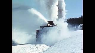 Celebrity Snow On The Run: Southern Pacific Railroad (1952) Net Worth