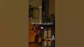 #قران_كريم #اكسبلور #quran #duet #دويتو #لايك #تلاوة_هادئة