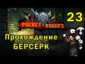 Pocket Rogues 100 lvl.. ?