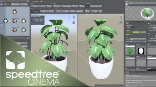 Potted Plant | Speedtree Cinema 9 Tutorial