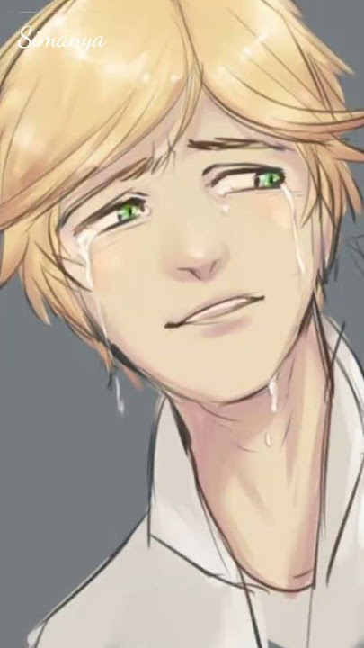 miraculous characters 🐞🐈 as heart broken 💔 sugar crush edit. #miraculous #sugarcrush  #heartbroken .