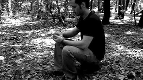 Reintroducing The Lie