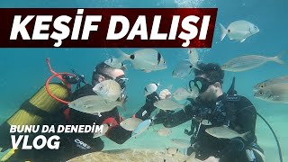 Tüplü Keşif Dalışı Vlog - Su Altında Keyif Dolu Anlar (Scuba Discovery Diving)