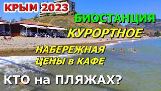 БИОСТАНЦИЯ, КУРОРТНОЕ/Феодосия. Как сейчас в Крыму? ЖАРА! НАБЕРЕЖНАЯ, ПЛЯЖ. ЦЕНЫ В КАФЕ. КРЫМ 2023.