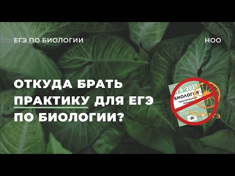 ЕГЭ ПО БИОЛОГИИ: почему НЕ стоит использовать РЕШУ.ЕГЭ? что не так с Кириленко?