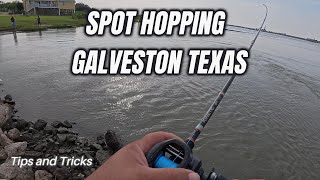 Best Fishing Spots in Galveston Texas Revealed!