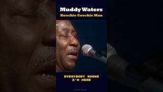 Muddy Waters - Hoochie Coochie Man | Don's Tunes Blues Legends #Shorts