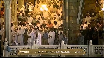 تلاوة من سورة النمل بصوت فضيلة الشيخ ماهر المعيقلي