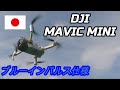 MAVIC MINIをブルーインパルス仕様にデコレートしました