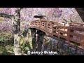 Takato Castle Ruins in Spring