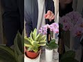 80歳何事にも夢中