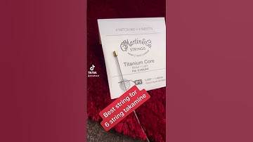 Martin titanium core #takamine #guitarstrings #viral #guitarist #tutorial