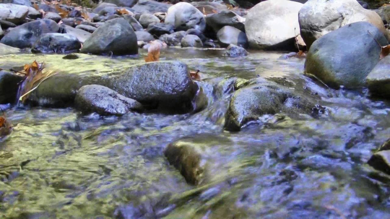 Awaswas Native Trail - Santa Cruz Mountains- California