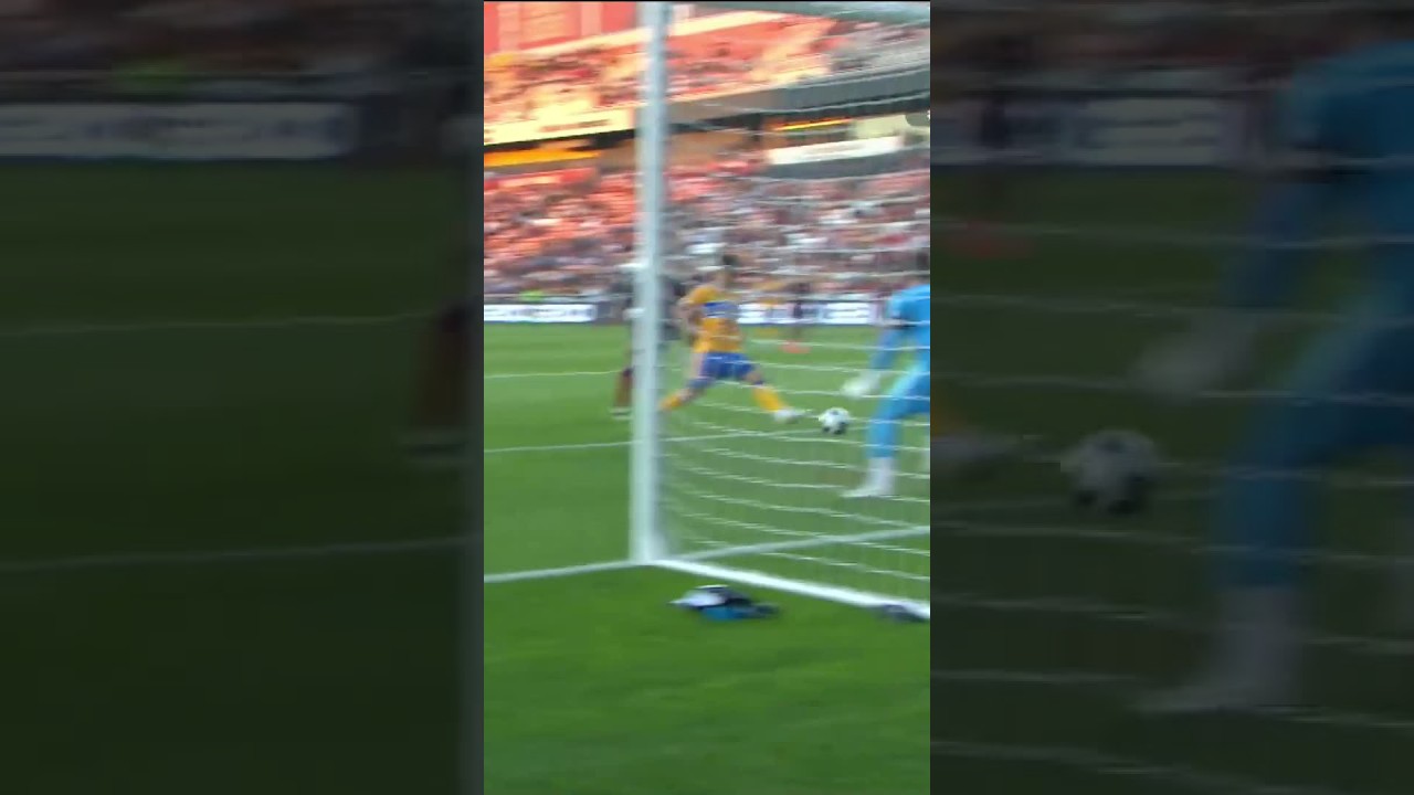 ¡JUGADÓN Y GOL DE LOS TIGRES! #shorts