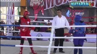 aksi muaythai wanita brutal