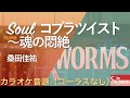 【高音質カラオケ音源】Soulコブラツイスト〜魂の悶絶 / The Silkworms [Instruments Only] (Cover)