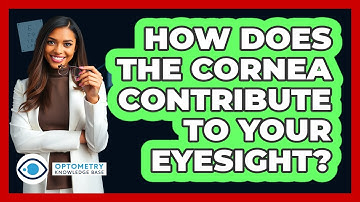 How Does The Cornea Contribute To Your Eyesight? - Optometry Knowledge Base