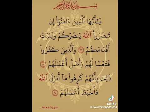 ان تنصروا الله ينصركم