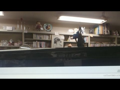 私も大概独創的だけどこの人もすごい