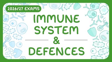GCSE Biology - Immune System & Defences | Types of White Blood Cell (2026/27 exams)