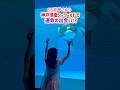 55歳💖さゆり、須磨シーワールドで運命的な出会いしちゃいました🐬